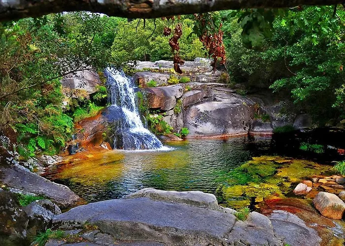 Сasa de vacaciones As Casinas Ribadavia